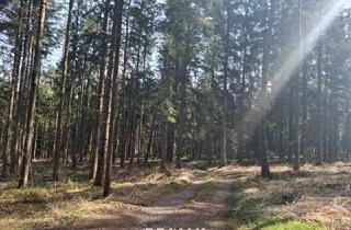 Immobilie kaufen in 5231 Schalchen, Wald