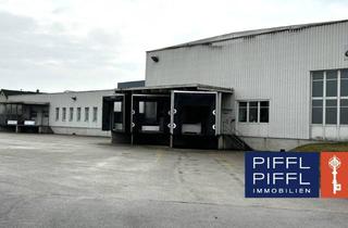 Büro zu mieten in 4614 Marchtrenk, Großzügiges Lager in Marchtrenk: 6.500m² für Ihre Geschäftsideen!