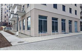 Büro zu mieten in Schweidlgasse, 1020 Wien, SCHWEIDLGASSE 24 (NORDBAHNVIERTEL) - KLEINES GESCHÄFTSLOKAL ZU VERMIETEN