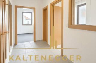 Wohnung mieten in 2801 Katzelsdorf, Charmante Wohnung im wunderschönen Katzelsdorf