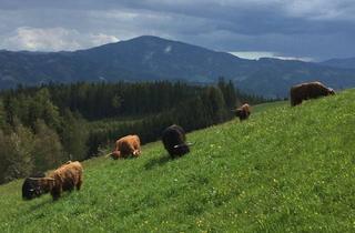Immobilie kaufen in 8642 Mürzgraben, Neuwertiger Bauernhof in sonniger Lage
