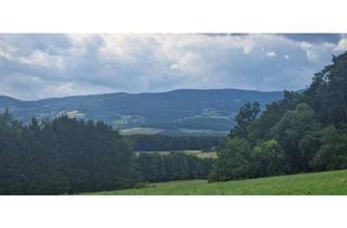 Grundstück zu kaufen in 8230 Hartberg, Großes Grundstück in wunderschöner Lage.