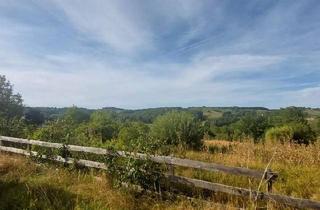 Grundstück zu kaufen in 7543 Kukmirn, Über 5000 m² Bauland in sehr schöner Lage