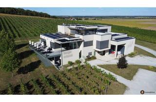 Gewerbeimmobilie kaufen in 7400 Oberwart, Weingut mit ca. 4 ha Weingärten im Südburgenland!