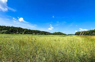 Gewerbeimmobilie kaufen in 4600 Wels, Land & Gut: 4 ha - TOP Feld mit Wald in Wels