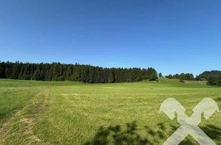 Gewerbeimmobilie kaufen in 8983 Bad Mitterndorf, Landwirtschaftlicher Grund in Bad Mitterndorf
