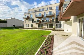 Wohnung mieten in Hanuschstraße 30, 4020 Linz, "BHome" - Tolle hofseitige 2-Zimmer Wohnung mit Balkon und Küche!