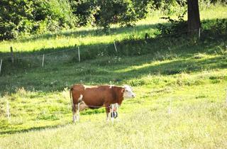 Grundstück zu kaufen in 9905 Obergaimberg, Sonniges Baugrundstück mit Bergblick - Gaimberg