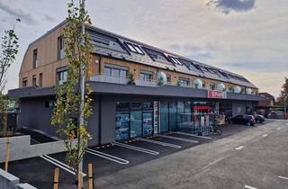 Wohnung mieten in 3470 Kirchberg am Wagram, HELLE FAMILIENWOHNUNG MIT HERRLICHER WESTSEITIGER SONNENTERRASSE - PROVISIONSFREI