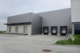 Lager mieten in Im Südpark, 4030 Linz, Lager und Tiefkühllager Vermietung Gewerbeobjekt - 4030 Linz, Im Südpark