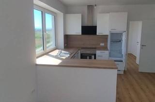 Wohnung mieten in 4482 Ennsdorf, Erstbezug nach Renovierung: 2-Zimmer Wohnung in Ennsdorf mit neuer Küche & Gartenmitbenützung