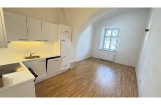 Wohnung mieten in 7100 Neusiedl am See, Residieren im Schloss! Haus 1/7