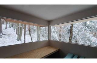 Grundstück zu kaufen in 8243 Pinggau, Baugrundstück mit bestehendem Keller am Ortsrand von Pinggau