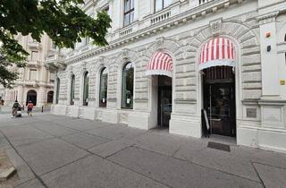 Geschäftslokal mieten in Nibelungengasse, 1010 Wien, -=MUSEUMSQUARTIR=- Exklusives Geschäftslokal 1 Bezirk