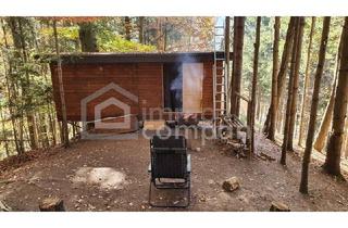 Grundstück zu kaufen in 8243 Pinggau, Baugrundstück mit bestehendem Keller in idyllischer Lage in Pinggau