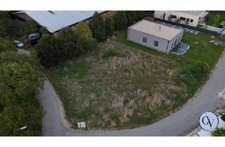 Grundstück zu kaufen in 2424 Zurndorf, Einzigartiges Grundstück im Naturparadies mit Badesee, Sportplatz & Reithalle