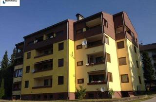Wohnung kaufen in Birkenweg 289, 9761 Greifenburg, Greifenburg - 1 Zimmer Dachgeschoßwohnung zu verkaufen - mtl. Rückzahlung ab 199,-