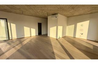 Penthouse kaufen in 8010 Graz, WALTENDORF, Penthouse neu errichtet mit Blick über Graz und niedrigen Betriebskosten *Videorundgang*
