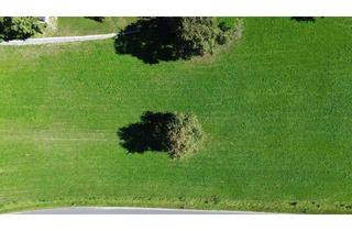 Grundstück zu kaufen in 3261 Steinakirchen am Forst, Baugrundstück Steinakirchen - Nähe Golfplatz - kein Bauzwang