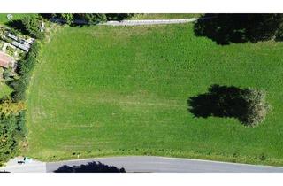 Grundstück zu kaufen in 3261 Steinakirchen am Forst, Baugrundstück Steinakirchen - Nähe Golfplatz - kein Bauzwang