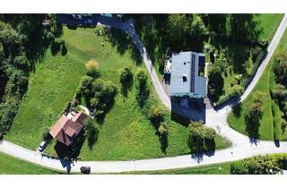 Grundstück zu kaufen in 3261 Steinakirchen am Forst, Baugrundstück Steinakirchen - Nähe Golfplatz - kein Bauzwang