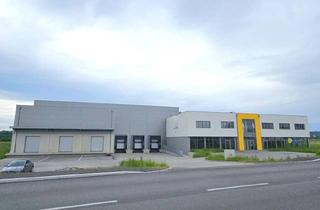 Lager mieten in Im Südpark, 4030 Linz, Vermietung Gewerbeobjekt - 4030 Linz, Im Südpark TEILFLÄCHEN möglich