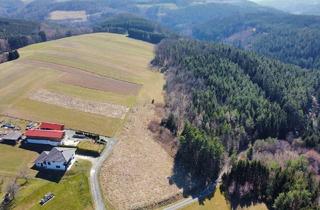 Grundstück zu kaufen in Gst Nr. 822, 7435 Holzschlag, Provisionsfrei und ohne Bauzwang - Baugrund mit 2600m2