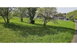 Grundstück zu kaufen in 8112 Gratwein, RUHELAGE 15 Min von Graz - großzügiges, sonniges, Grundstück in leichter Hanglage (teilbar)
