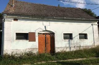 Gewerbeimmobilie mieten in 2225 Zistersdorf, Weinkeller gelangt zur Vermietung - Ideal zum Lagern