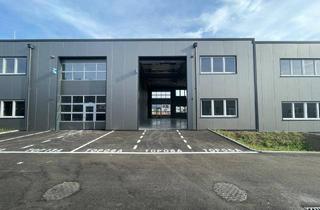 Büro zu mieten in 4844 Regau, RESERVIERT! BEZUGSBEREIT! Betriebs-/ Produktions- oder Lagerhallen von 44 - 224 m² Fläche im BUSINESS PARK REGAU zum Sofortbezug (Top 06a)