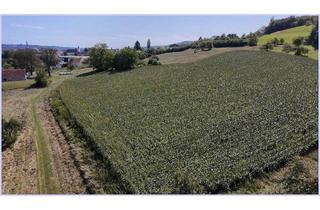 Grundstück zu kaufen in 8330 Feldbach, Erhöht gelegenes wunderschönes Baugrundstück in Feldbach. Gute Anbindung, 3000m2