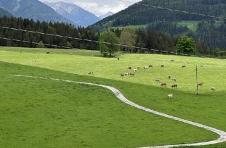 Grundstück zu kaufen in 8962 Gröbming, 13,21 ha Bauernhof teilbar, im Herzen des Ennstals