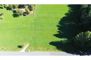 Grundstück zu kaufen in 3261 Steinakirchen am Forst, Baugrundstück Steinakirchen - Nähe Golfplatz - kein Bauzwang