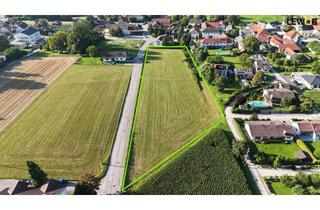 Grundstück zu kaufen in 4633 Kematen am Innbach, 3 Baugrundstücke in Kematen am Innbach