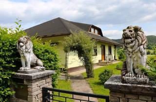 Einfamilienhaus kaufen in Plescherken, 9074 Keutschach, Malerischer Bungalow im Keutschacher Seental mit Seeblick (2391)