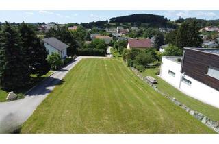 Grundstück zu kaufen in 2753 Dreistetten, Einzigartiger Bauplatz für Ihr Traumhaus in Dreistetten