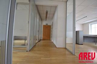 Büro zu mieten in Rudolfstraße 55, 4040 Linz, IDEALE GEWERBEFLÄCHE NAHE DER DONAU IN URFAHR - B02