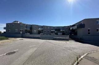 Wohnung mieten in 2326 Lanzendorf, 2326 Lanzendorf, Ing. Karl Strycek-Straße 2 MIETE