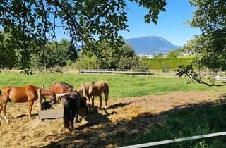 Grundstück zu kaufen in Zwischen Velden Und Villach, 9241 Wernberg, Einzigartiges Paradies für Mensch und Tier in herrlicher Aussichtslage