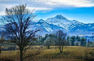 Grundstück zu kaufen in Zwischen Velden Und Villach, 9241 Wernberg, Einzigartiges Paradies für Mensch und Tier in herrlicher Aussichtslage