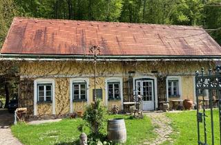 Loft mieten in 3021 Pressbaum, LOFTARTIGE WOHNUNG IM GRÜNEN NAHE DER WIENER STADTGRENZE