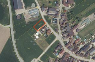 Grundstück zu kaufen in 4160 Schindlau, Preiswertes Baugrundstück für Ihr Vorhaben -im Mühlviertel nahe Ulrichsberg - ohne Bauzwang, auch für Anleger geeignet