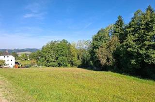 Grundstück zu kaufen in Ritzersdorf, 4113 Sankt Martin im Mühlkreis, Großes Grundstück in Sankt Martin im Mühlkreis - kein Bauzwang
