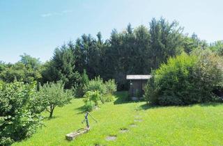 Grundstück zu kaufen in 4400 Christkindl, TRAUMGRUNDSTÜCK IN CHRISTKINDL - 833 M² NATURIDYLLE