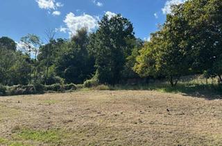 Grundstück zu kaufen in 2013 Göllersdorf, Wohnen im Grünen – Leben in Stadtnähe. Traumhaftes Grundstück im Wischathal!