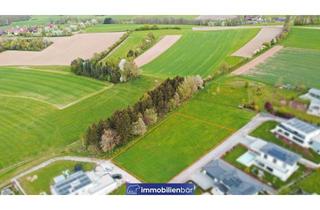 Grundstück zu kaufen in Binderweg, 4972 Utzenaich, Traumhaftes großes Grundstück mit Aussicht - Utzenaich