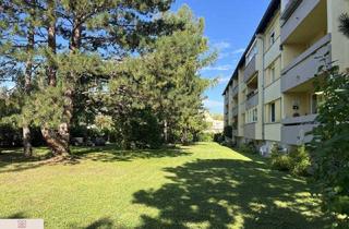 Wohnung mieten in 2500 Baden, Entzückende Singlewohnung mit Loggia - Ruhelage in Baden