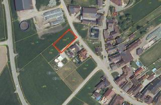 Grundstück zu kaufen in 4160 Schindlau, Preiswertes Baugrundstück für Ihr Vorhaben -im Mühlviertel nahe Ulrichsberg - ohne Bauzwang, auch für Anleger geeignet