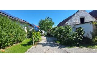 Haus kaufen in 7062 Sankt Margarethen im Burgenland, Altburgenländischer Streckhof und Lagerräume