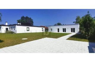 Haus kaufen in 2601 Sollenau, MODERNE KLARHEIT - SÜDSEITIGER GARTEN